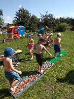 �����������